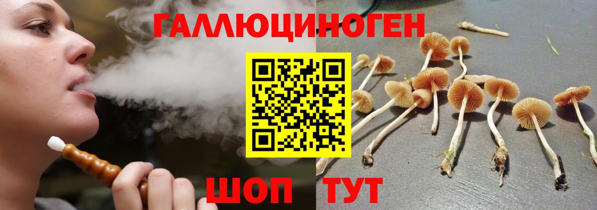 Гудермес  Галлюциногенные грибы прущие грибы  цена наркотик  Вход с VPN  Псилоцибиновые грибы мухоморы 